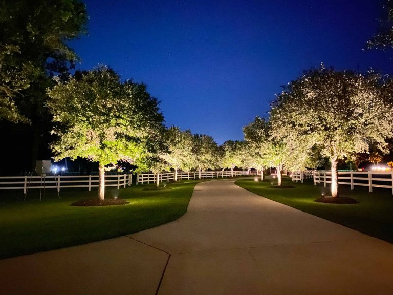 Landscape Lighting in Texas