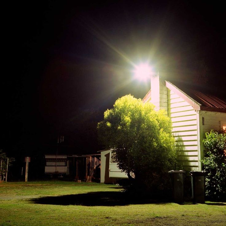 Flood Light Bulbs