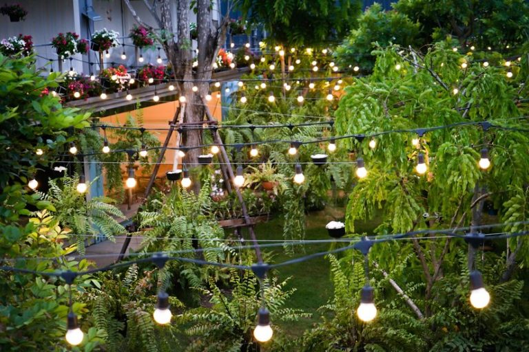 Backyard Lighting in Austin